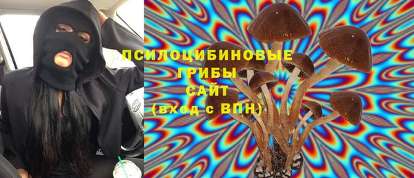 эйфоретик Касимов