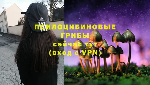 прущая мука Карталы