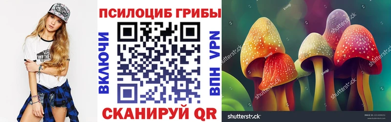 Галлюциногенные грибы Psilocybe  Купить закладки  Серов 